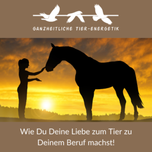 5 Tage Workshop